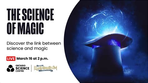 Discovering the Magic Within: Unleashing Your Inner Magician with the Mystifying Magic Set